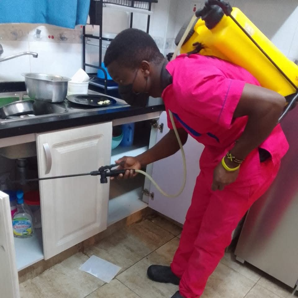 Pest Control services and Fumigation services harare